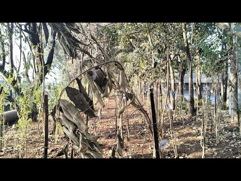 Bharat Samachar TV | 